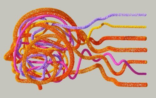 (French Article) Cartographier le Cerveau au-Delà des Frontières