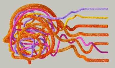 Cartographier le Cerveau au-Delà des Frontières